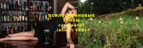 спиды Алзамай